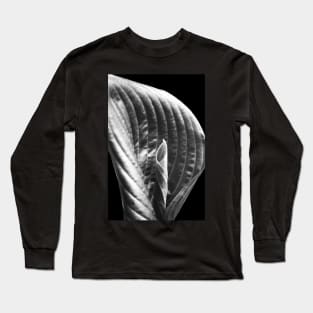 Hosta unfolding... Long Sleeve T-Shirt